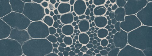 Use of Fertilizers and its Effect in Increasing Yield with Particular Attention to Quality and Economy