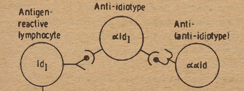 Perspectives of Immunization in Parasitic Diseases