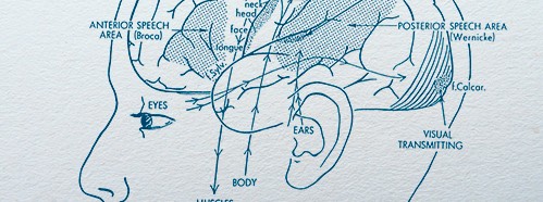 The Determination of Brain Death and its Relationship to Human Death