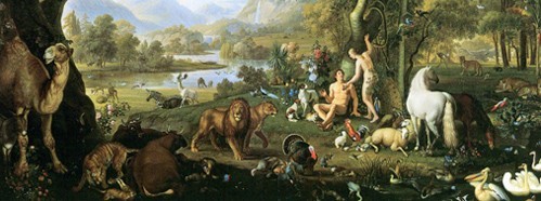 Biological Extinction: How to Save the Natural World on Which We Depend