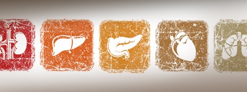 Summit on Organ Trafficking and Transplant Tourism