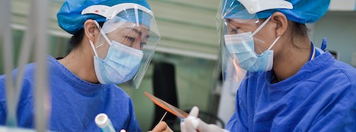 Science and Survival. A Focus on SARS-CoV-2 and Connections Between Large-Scale Risks for Life on This Planet and Opportunities of Science to Address Them