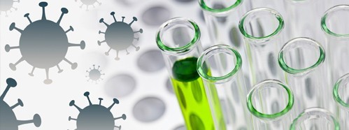 Declaracion Final de la Sesión Plenaria 2020 sobre Ciencia y Supervivencia