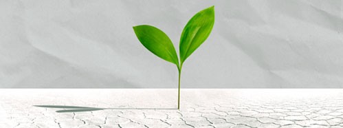 Resilience of People and Ecosystems under Climate Stress