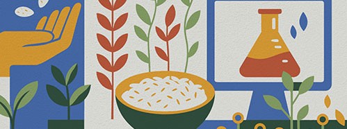 Conservation and use of crop diversity in the bio-digital age