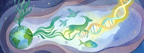 Evolution and Development